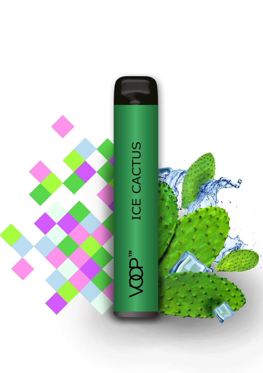 «VOOP ICE CACTUS» (ЛЬОДЯНИЙ КАКТУС)
